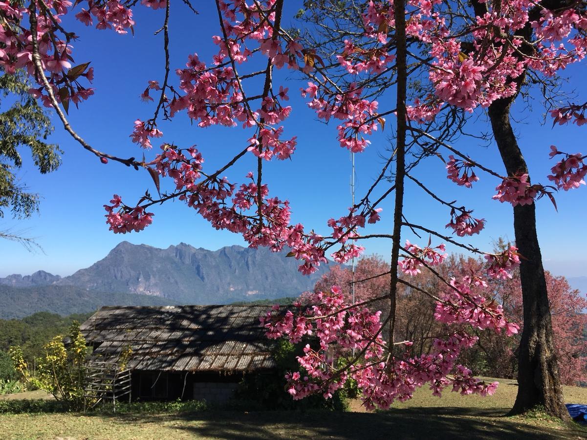 Chiang Dao Hostel Εξωτερικό φωτογραφία