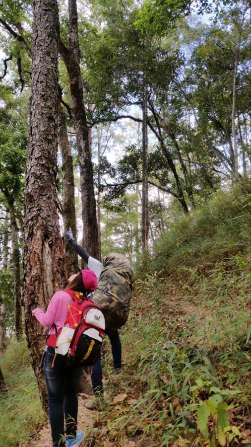 Chiang Dao Hostel Εξωτερικό φωτογραφία
